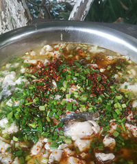 酸菜鱼详细教程帖