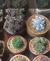 ����ͼ������