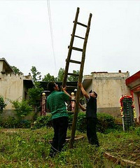 ý��:���ϴ�ѧ��"����"�����ֳ��������(ͼ)