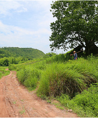 ʢ��һˮ������ɽ��̶��