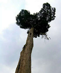 ���������̫������ų��ž�������һ�����й�����