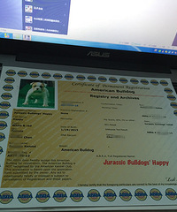 #�ȳ����#+�����Ҽ���ǫ̈̄�����Ĵ����