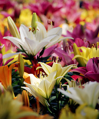 ������������