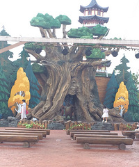 ���棬������