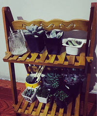 ����������ô��