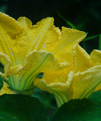 �ǵ��������