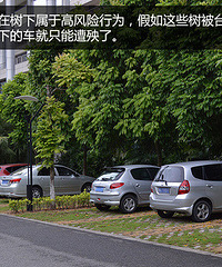 迎来今年一号台风“尼伯特“车主们安置好自己的爱车了吗?