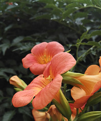 ����������~