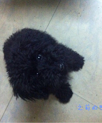 ���1����̩�ϣ����Ұ��æ��ת����ɢһ�£���ָ�л