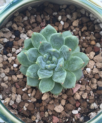 ̨������ǰ������