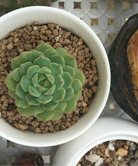 ̨������ǰ������