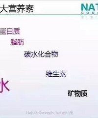 "关于儿童营养"
