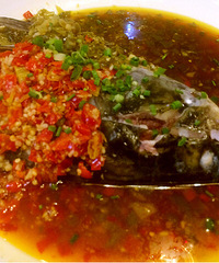 �Ի�����֤ �������ı�������