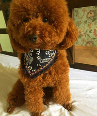 �����Ǽ�̩�Ϲ�����������