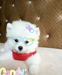 ��Ѱ�������Ұ���ң��Ҽҡ���������������7��10