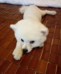 ��Ѱ�������Ұ���ң��Ҽҡ���������������7��10