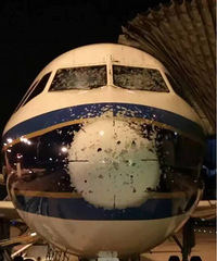 �Ϻ��������;�������Ϯ��