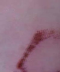 �㽭���н��ֱ�̬������ ר�������Ըе���Ů