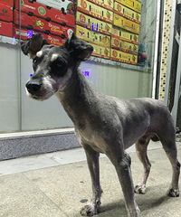 �����˶��ˡ�˭�Ҷ���ѩ���𣬴�Ұ�æ������Χ��û���˶�