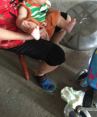 ������ʪ�ĺ��