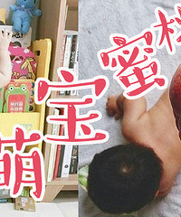 ��Ȧ�ӻ��ɹ�ȱ��������Ρ�����ȡ���ɰ�˯����������