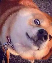 ����ô�Ƹ�Ҳ��������