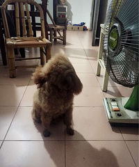 #������#��ռ���ȣ�˭��������