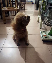 #������#��ռ���ȣ�˭��������