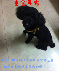 ������ģ��ؽ��Ұ�Ȯ����ת��