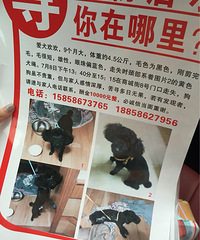 ������ģ��ؽ��Ұ�Ȯ����ת��