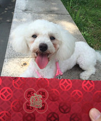 �������ˡ�