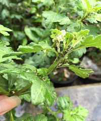 ��ջ�����ô�����ʲô����