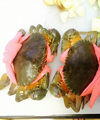 ��з������� �����̲�ס������ˮ