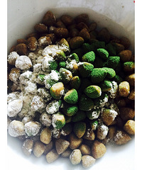 ����������