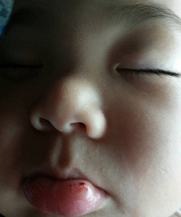 һ��С�Ŀĳ�����