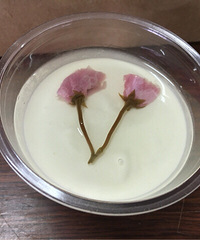 �޷��ֵ�����ʳ�ջ� ӣ��֥ʿ���� �ÿ��ֺó�