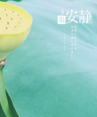 台风天也要出去浪,颜比花美