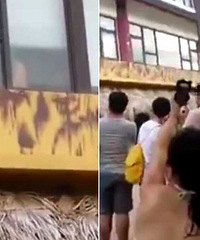 �����ھƵ�����û������������50��Χ��