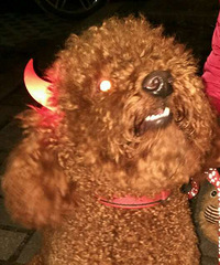 �ҽС�������������������������һ��롣