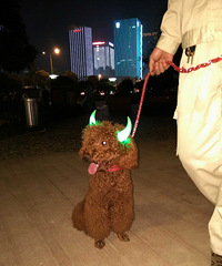 �ҽС�������������������������һ��롣