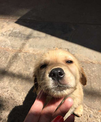 ?6?9ϴ����?6?9����?6?9��?6?9��?6?9��?6?9��?0?5?6?9 ��