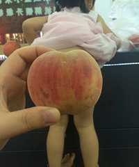 �������Ρ�3DЧ��