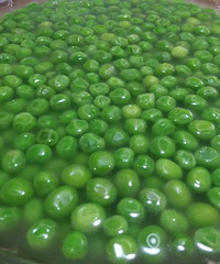 ����ɮ�����ԡ��㶹��ǰ������ ���������ֳԷ�