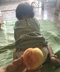 �������Σ�+����������