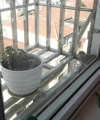 ��Ȼ�����ڴ��������ѣ�������Ҳ���ܣ������ڷ���