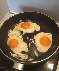 ������һ����糿��ʼ