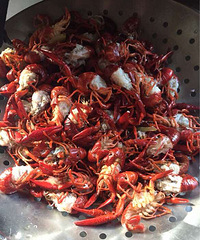 �����յ���ˮ��Ϻ ζ������