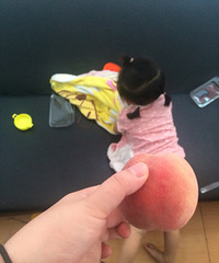 �������Ρ�����ץ��