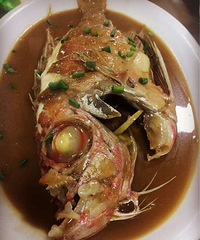 ����С����Ƽң���ҵĺ��ʲŽ���