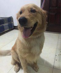 ��ë�ͼ۳���